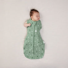 Load image into Gallery viewer, ergoPouch Cocoon Swaddle Bag 1.0tog