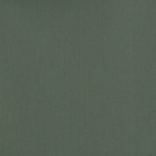 Load image into Gallery viewer, Current Tyed The “Basil” Rashguard