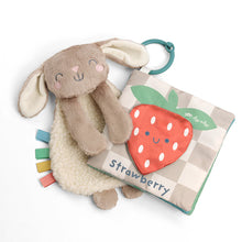 Load image into Gallery viewer, Itzy Ritzy Learn & Snuggle Gift Set