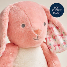 Load image into Gallery viewer, Itzy Ritzy Sweetie Snuggles™ Plush