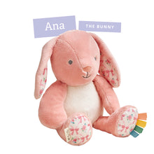 Load image into Gallery viewer, Itzy Ritzy Sweetie Snuggles™ Plush