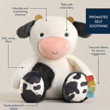 Load image into Gallery viewer, Itzy Ritzy Sweetie Snuggles™ Plush