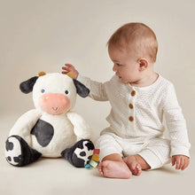 Load image into Gallery viewer, Itzy Ritzy Sweetie Snuggles™ Plush