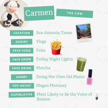 Load image into Gallery viewer, Itzy Ritzy Sweetie Snuggles™ Plush