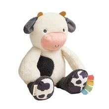 Load image into Gallery viewer, Itzy Ritzy Sweetie Snuggles™ Plush