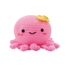 Load image into Gallery viewer, DIY Crochet Kit