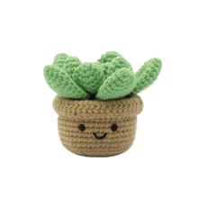 Load image into Gallery viewer, DIY Crochet Kit