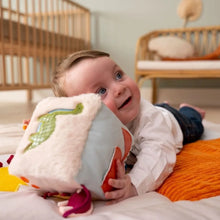 Load image into Gallery viewer, Little Big Friends Activity Cube