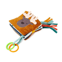 Load image into Gallery viewer, Little Big Friends Soft 2 in 1 Activity Book