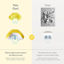 Load image into Gallery viewer, Fridababy Grow-With-Me Training Toothbrush Set