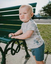 Load image into Gallery viewer, deux par deux Baby Boys Jersey T-Shirt And Organic Cotton Jersey Shorts Set - Grey Mix Turtle Print And Medium Blue