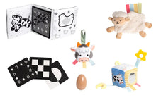 Load image into Gallery viewer, Pearhead Learning Kit 0-6 months