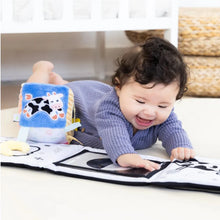 Load image into Gallery viewer, Pearhead Learning Kit 0-6 months