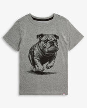 Load image into Gallery viewer, Appaman Boys Mascot Graphic Short Sleeve Tee - Grey