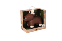 Load image into Gallery viewer, Little Big Friends Musical Friends