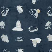 Load image into Gallery viewer, Perlimpinpin Plush Blanket