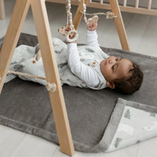 Load image into Gallery viewer, Perlimpinpin Plush Blanket