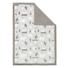 Load image into Gallery viewer, Perlimpinpin Plush Blanket