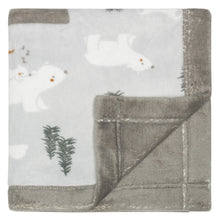 Load image into Gallery viewer, Perlimpinpin Plush Blanket