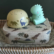 Load image into Gallery viewer, A Little Lovely Company Projector Light