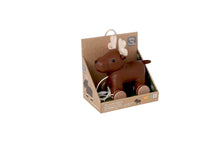 Load image into Gallery viewer, Little Big Friends Pull Along Friends