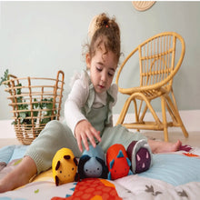 Load image into Gallery viewer, Little Big Friends Roly Poly Balls Sensory Toy