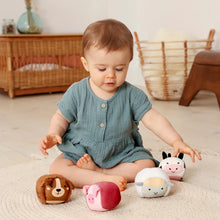 Load image into Gallery viewer, Little Big Friends Roly Poly Balls Sensory Toy