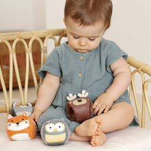 Load image into Gallery viewer, Little Big Friends Roly Poly Balls Sensory Toy