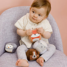 Load image into Gallery viewer, Little Big Friends Roly Poly Balls Sensory Toy