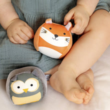 Load image into Gallery viewer, Little Big Friends Roly Poly Balls Sensory Toy