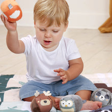 Load image into Gallery viewer, Little Big Friends Roly Poly Balls Sensory Toy