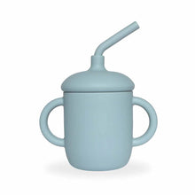 Load image into Gallery viewer, Baby Bliss Straw Cup