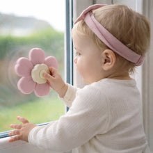 Load image into Gallery viewer, Baby Bliss Suction Spinner Toy