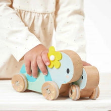 Load image into Gallery viewer, Janod Set of 2 Push Turtles