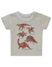 Load image into Gallery viewer, Noppies Baby Boys Short Sleeve Momence Tee - Willow Grey
