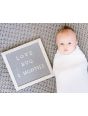 Load image into Gallery viewer, Pearhead Letterboard Set - Light Grey
