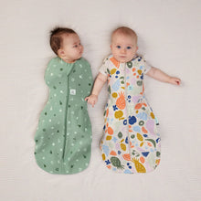 Load image into Gallery viewer, ergoPouch Cocoon Swaddle Bag 1.0tog
