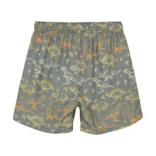 Load image into Gallery viewer, Minymo Boys Dino Swim Shorts - Sea Spray
