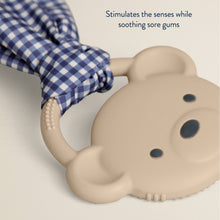 Load image into Gallery viewer, Itzy Ritzy Crinkle Crew™
