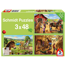 Load image into Gallery viewer, Schmidt Puzzles 3x48 PC
