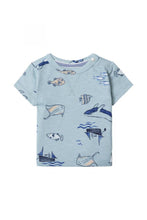 Load image into Gallery viewer, Noppies Baby Boys Bay T-Shirt - Arona
