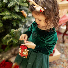 Load image into Gallery viewer, Souris Mini Baby Girls Green Velvet &amp; Sequin Dress - Green

