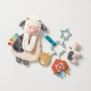 Itzy Ritzy Bitzy Busy Gift Set - Farm