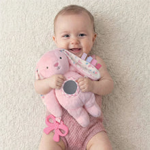 Load image into Gallery viewer, Itzy Ritzy Bitzy Traveler™ Developmental Sensory Toy
