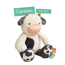 Load image into Gallery viewer, Itzy Ritzy Sweetie Snuggles™ Plush
