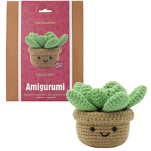 Load image into Gallery viewer, DIY Crochet Kit
