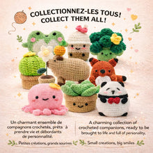 Load image into Gallery viewer, DIY Crochet Kit
