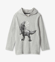 Load image into Gallery viewer, Hatley Boys Dino Long Sleeve Hoodie Tee
