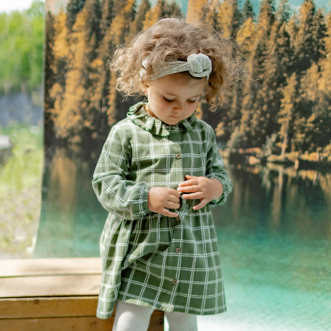 Souris Mini Baby Girls Plaid Dress in Jersey Green Chicken Little Shop