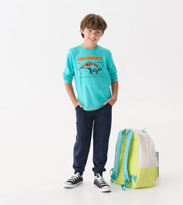 Hatley Boys Stegosaurus Long Sleeve Graphic Tee